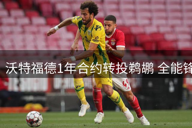 沃特福德1年合约转投鹈鹕 全能锋线曾贡献三双表现